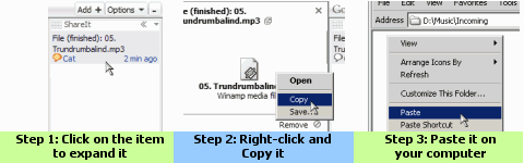 Step 1: Click on the item to expand it; Step 2: Right-click and Copy it; Step 3: Paste it on your computer